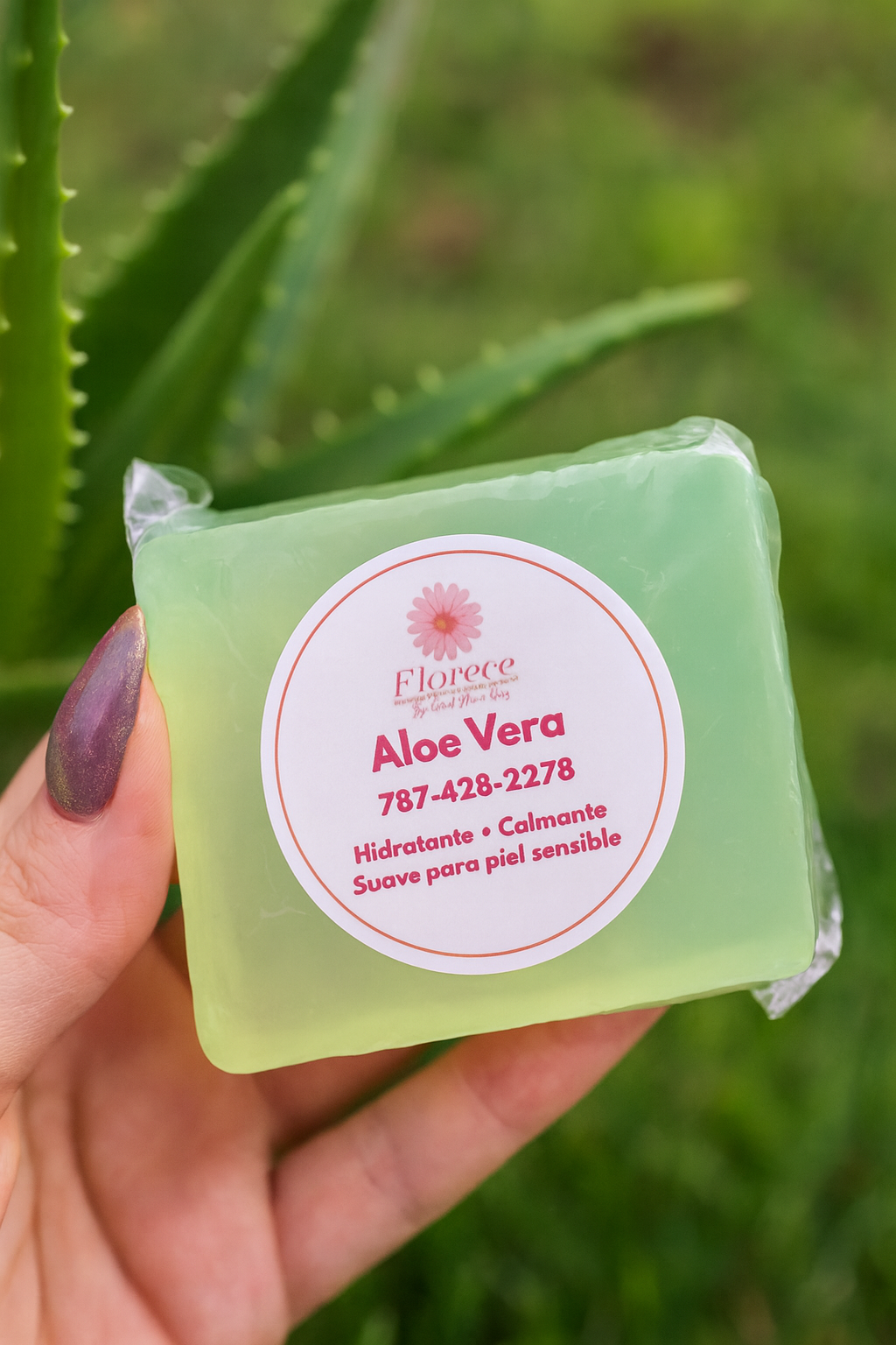 Jabón de Aloe Vera