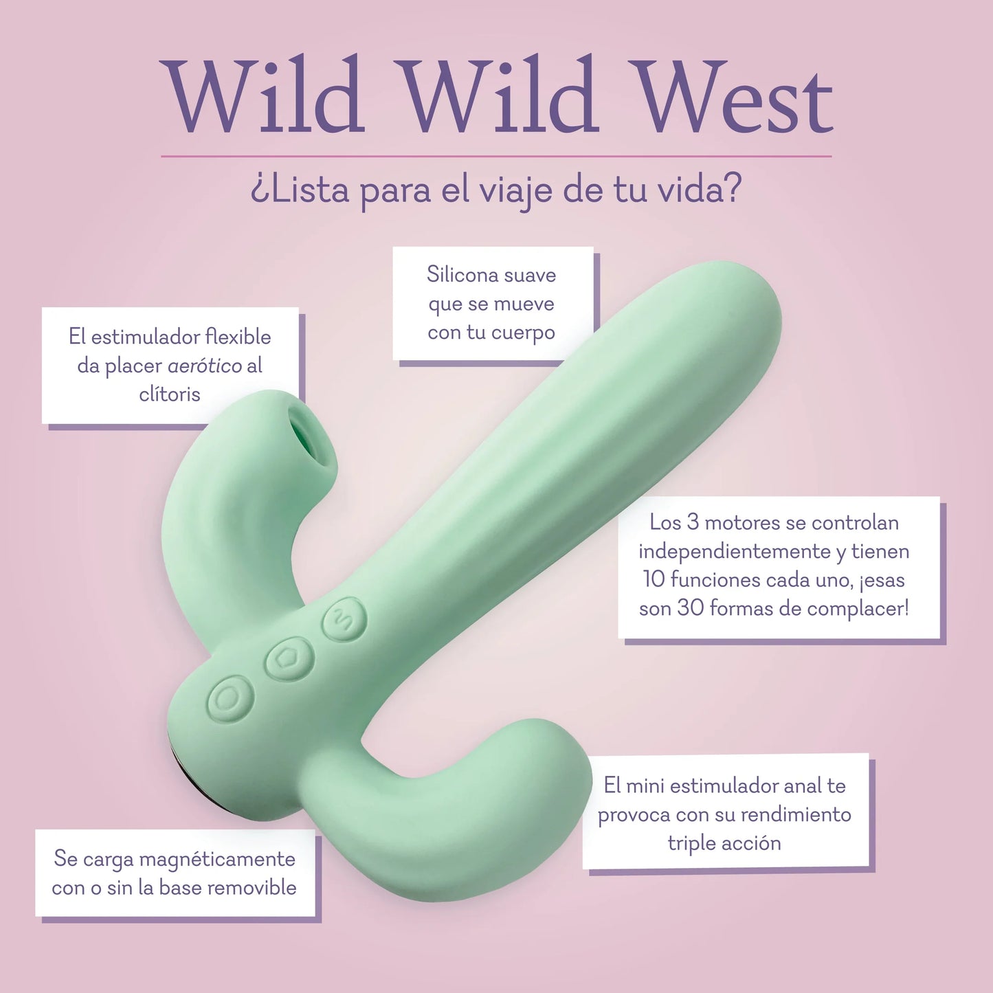 WILD WILD WEST