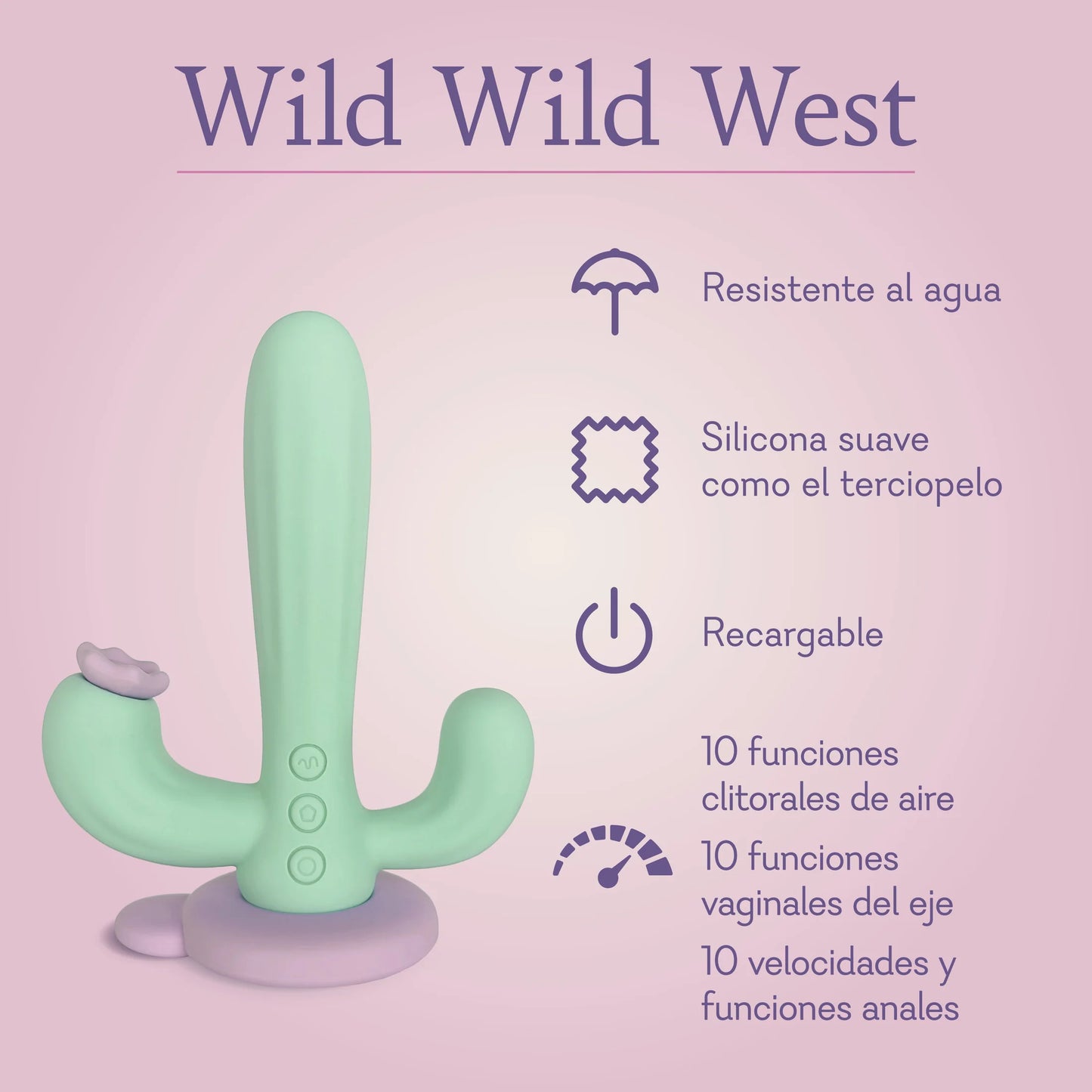 WILD WILD WEST